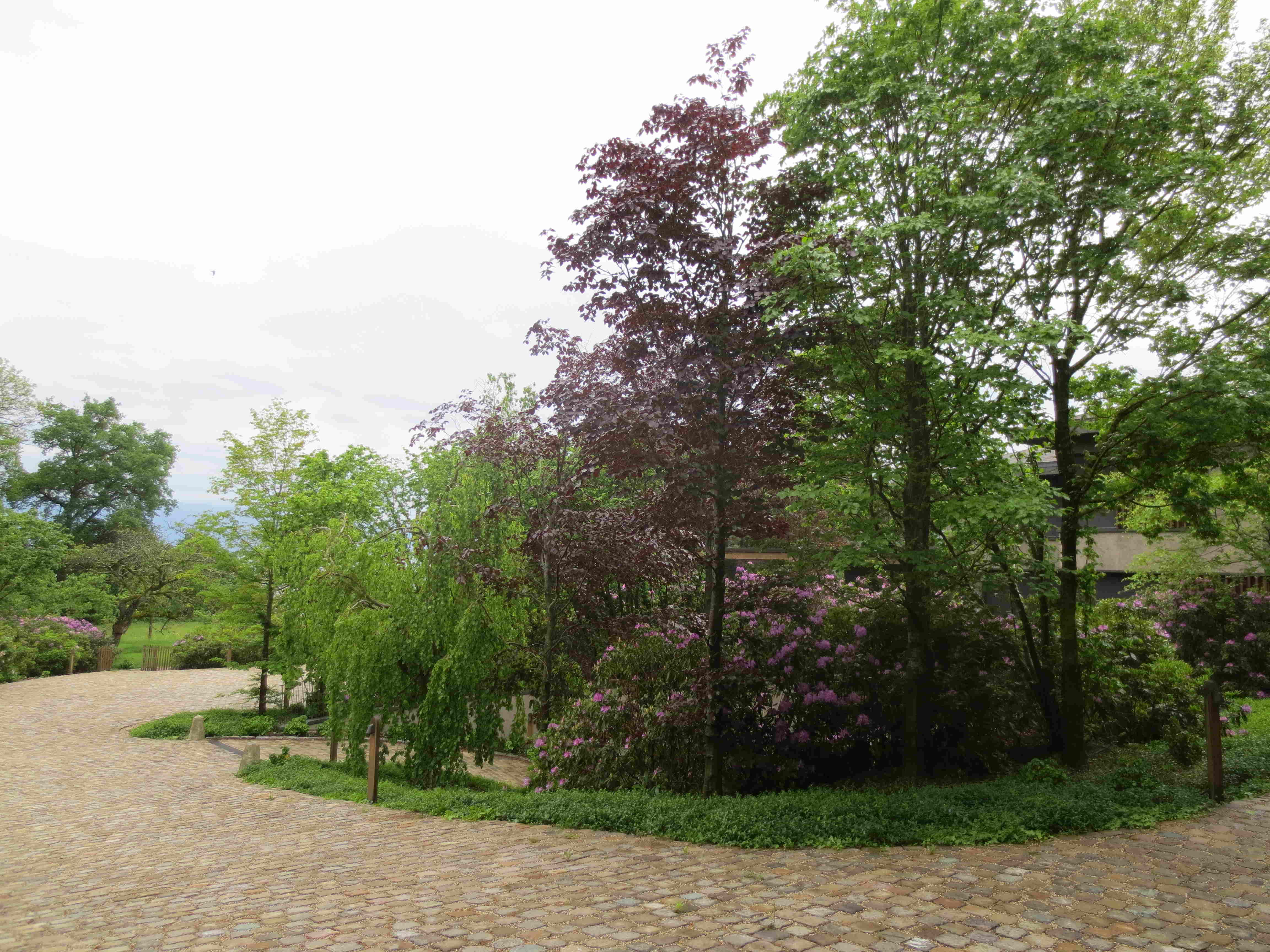 Cauwelier Landscaping