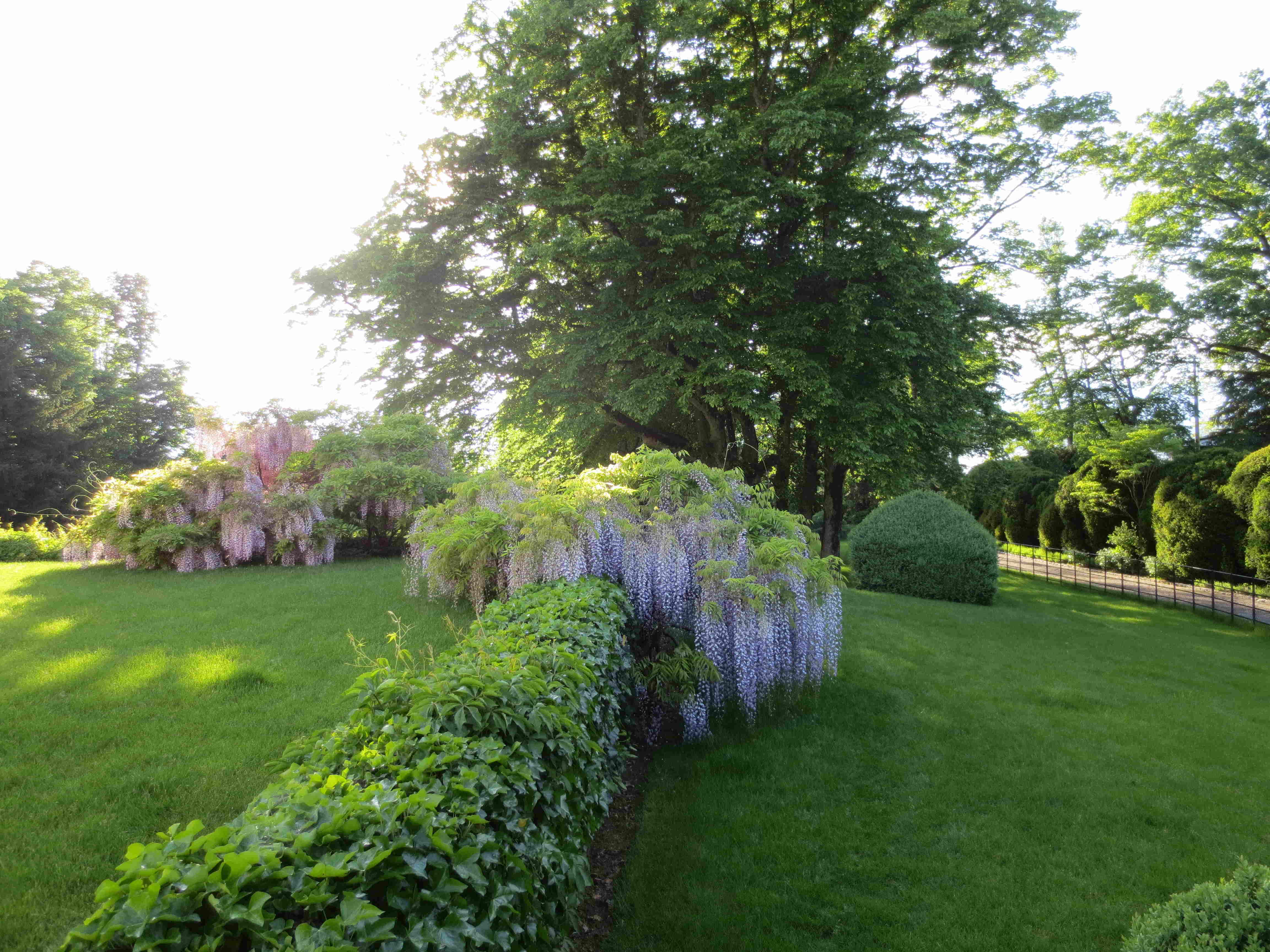 Cauwelier Landscaping