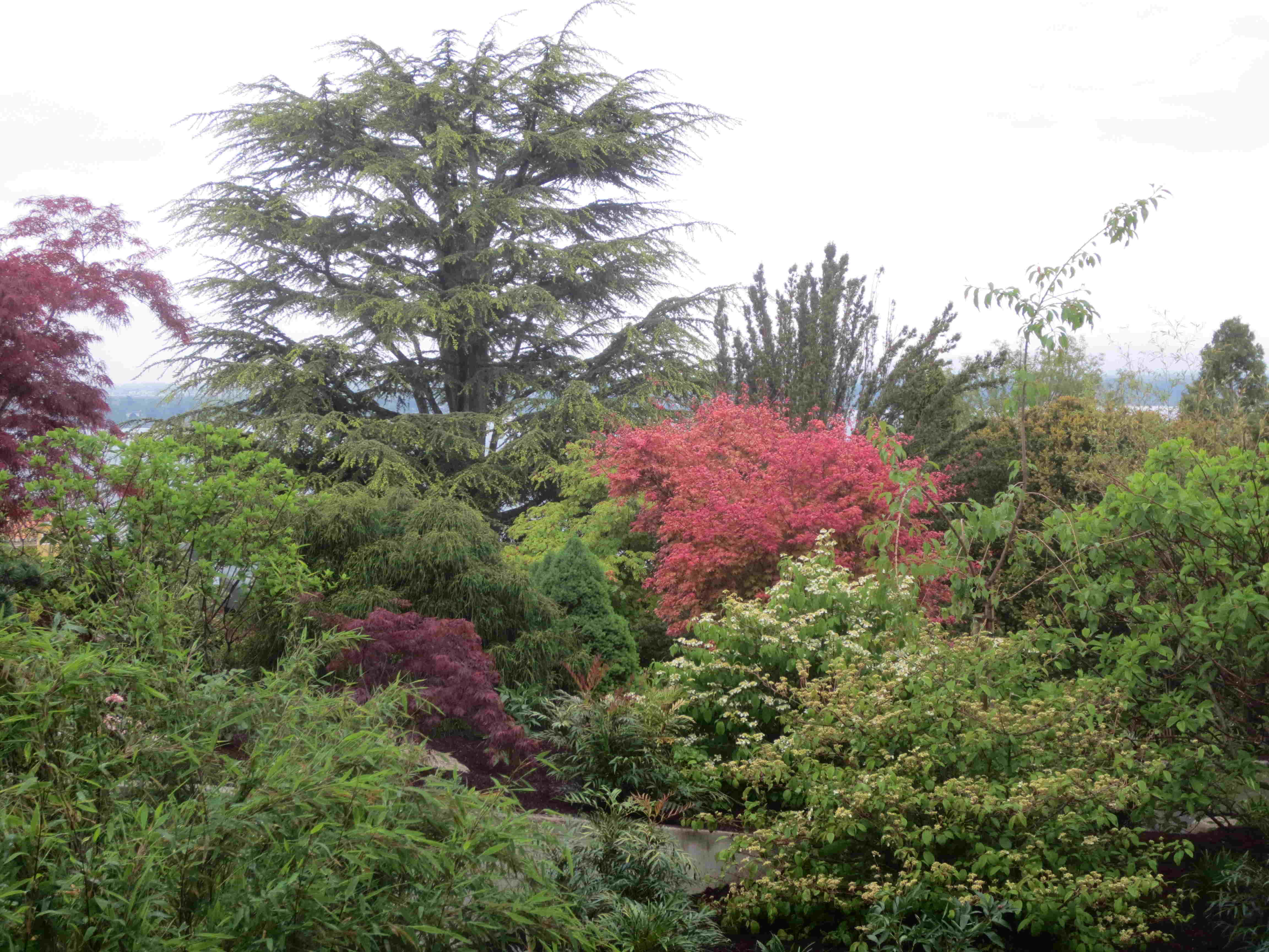 Cauwelier Landscaping