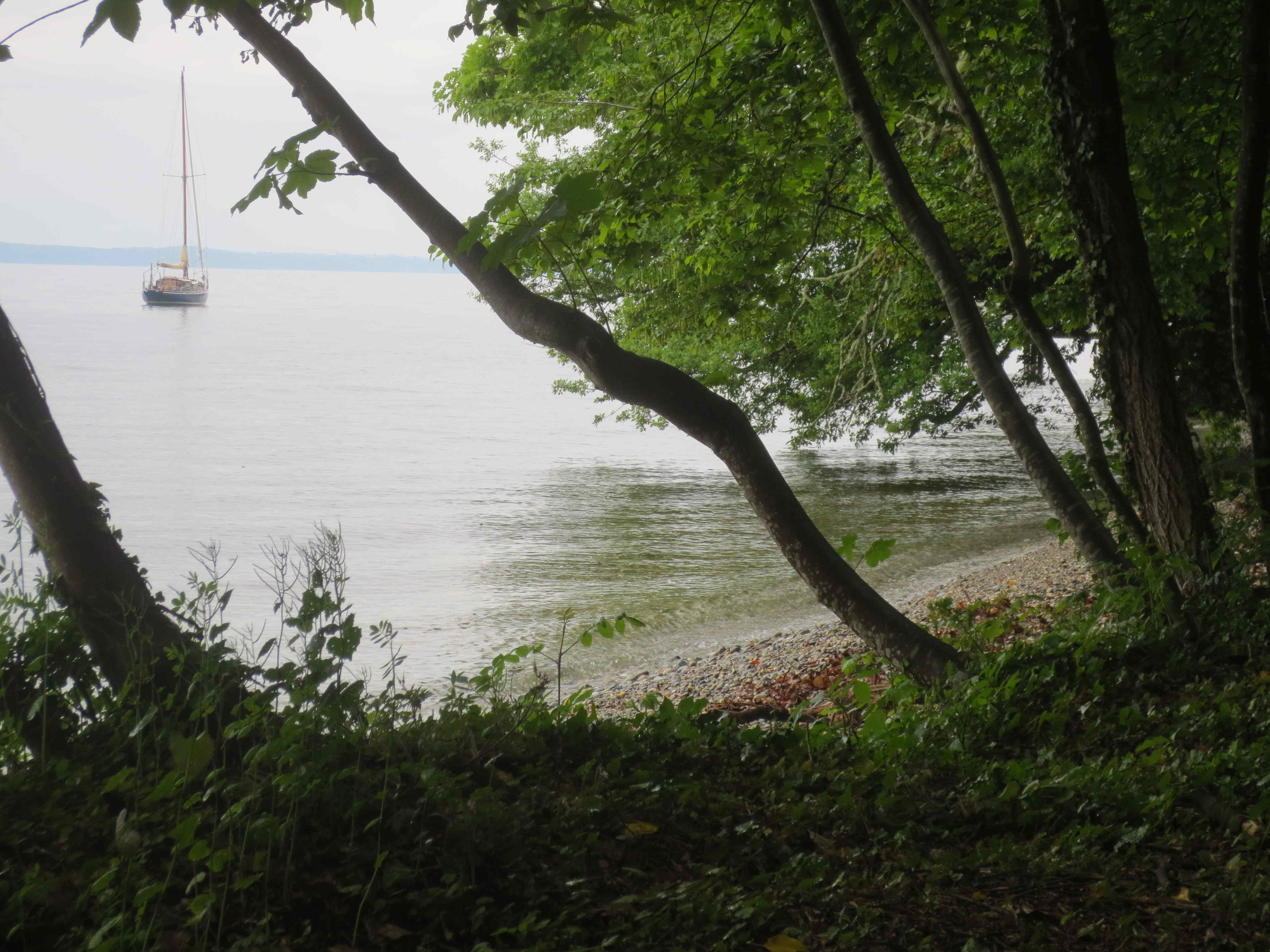 Cauwelier Landscaping