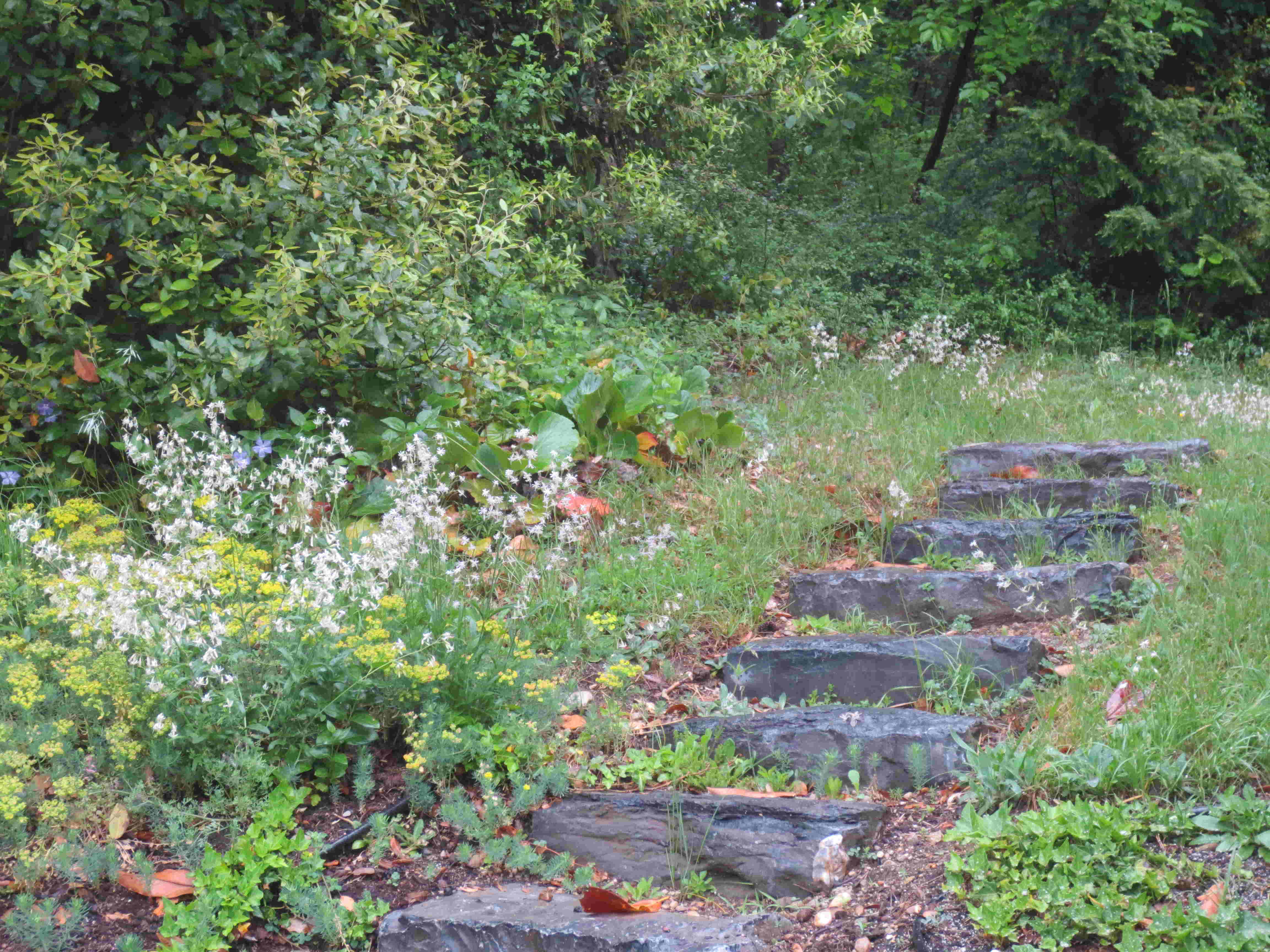 Cauwelier Landscaping