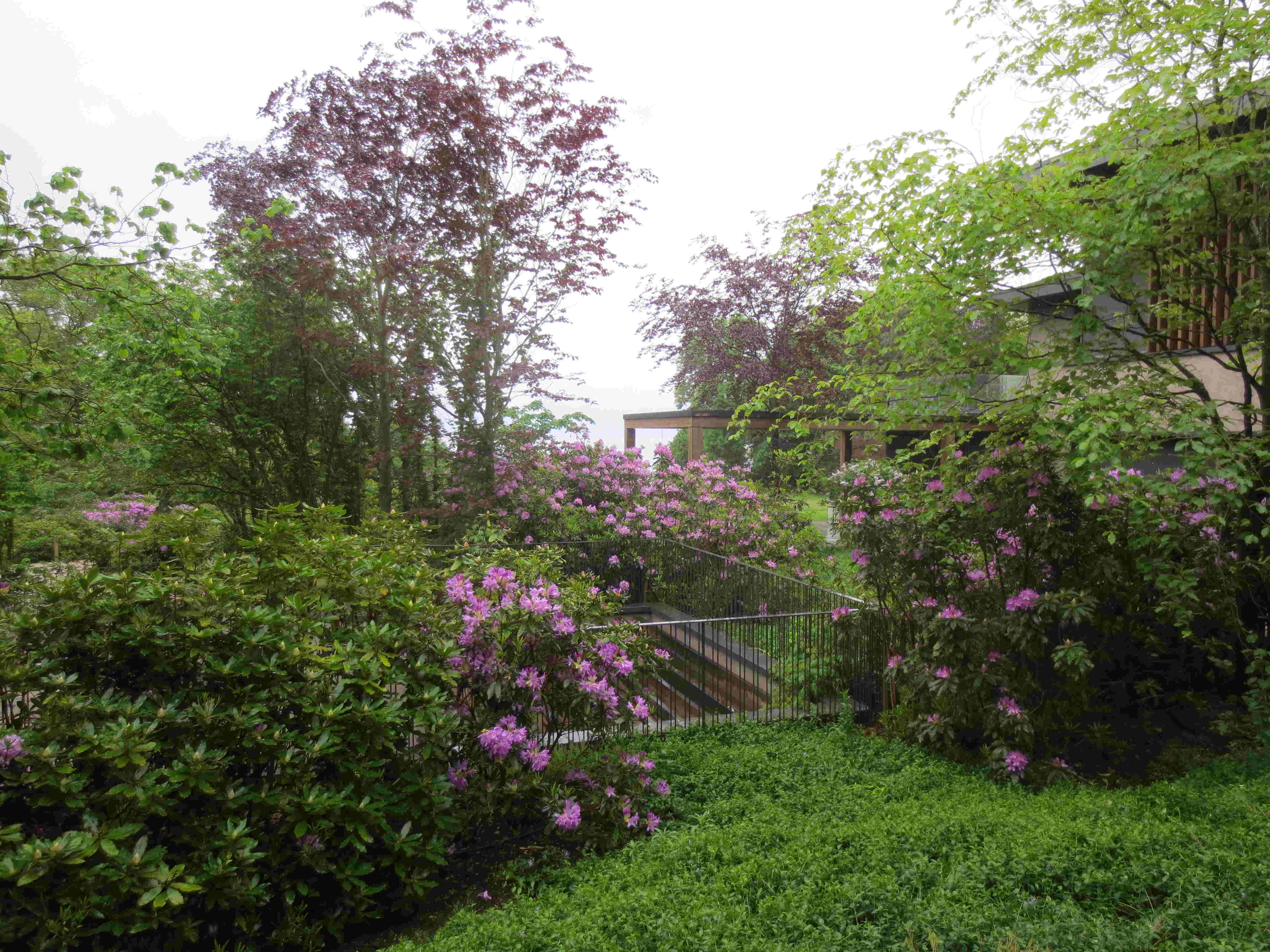 Cauwelier Landscaping