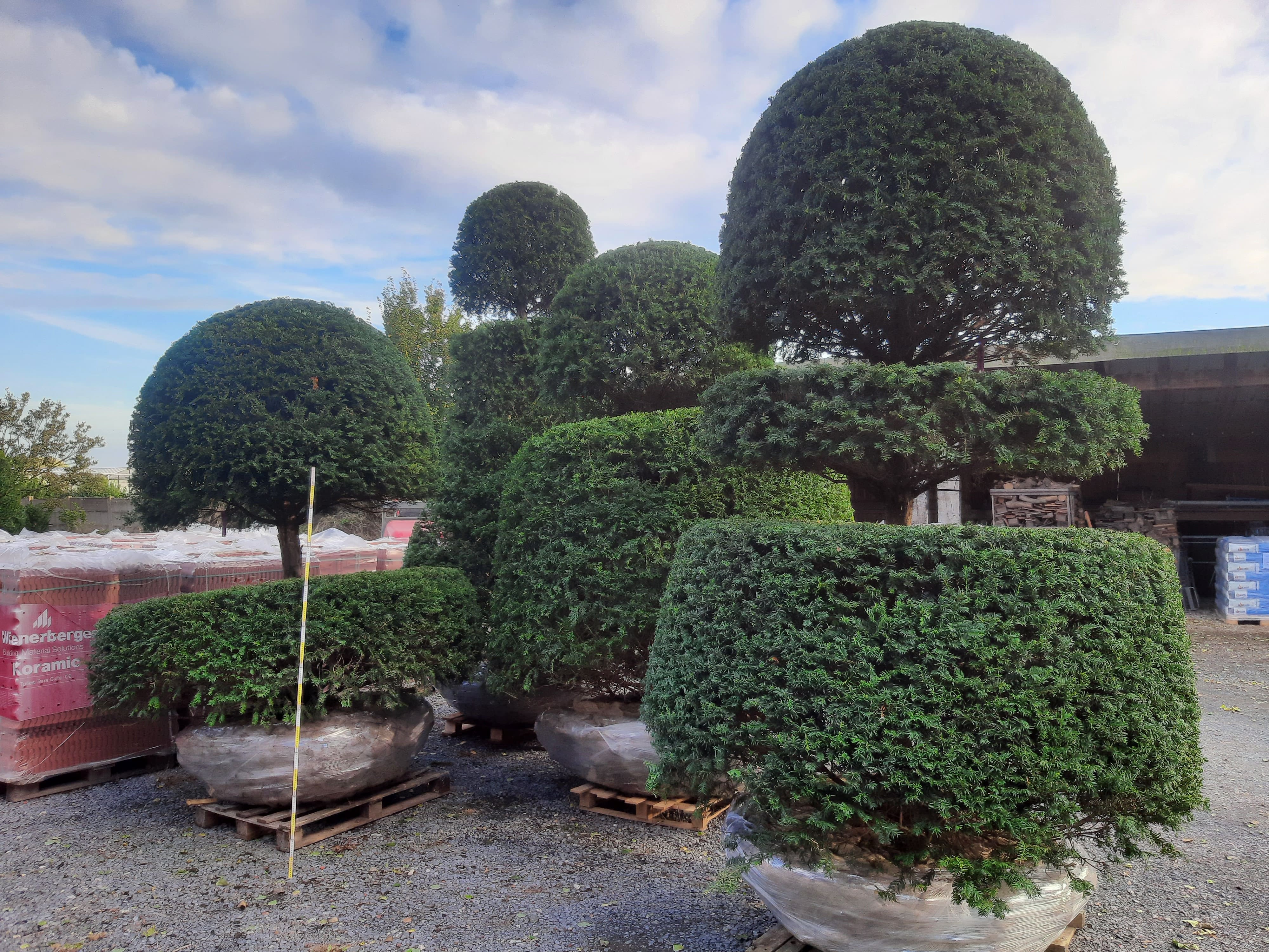 Cauwelier Landscaping