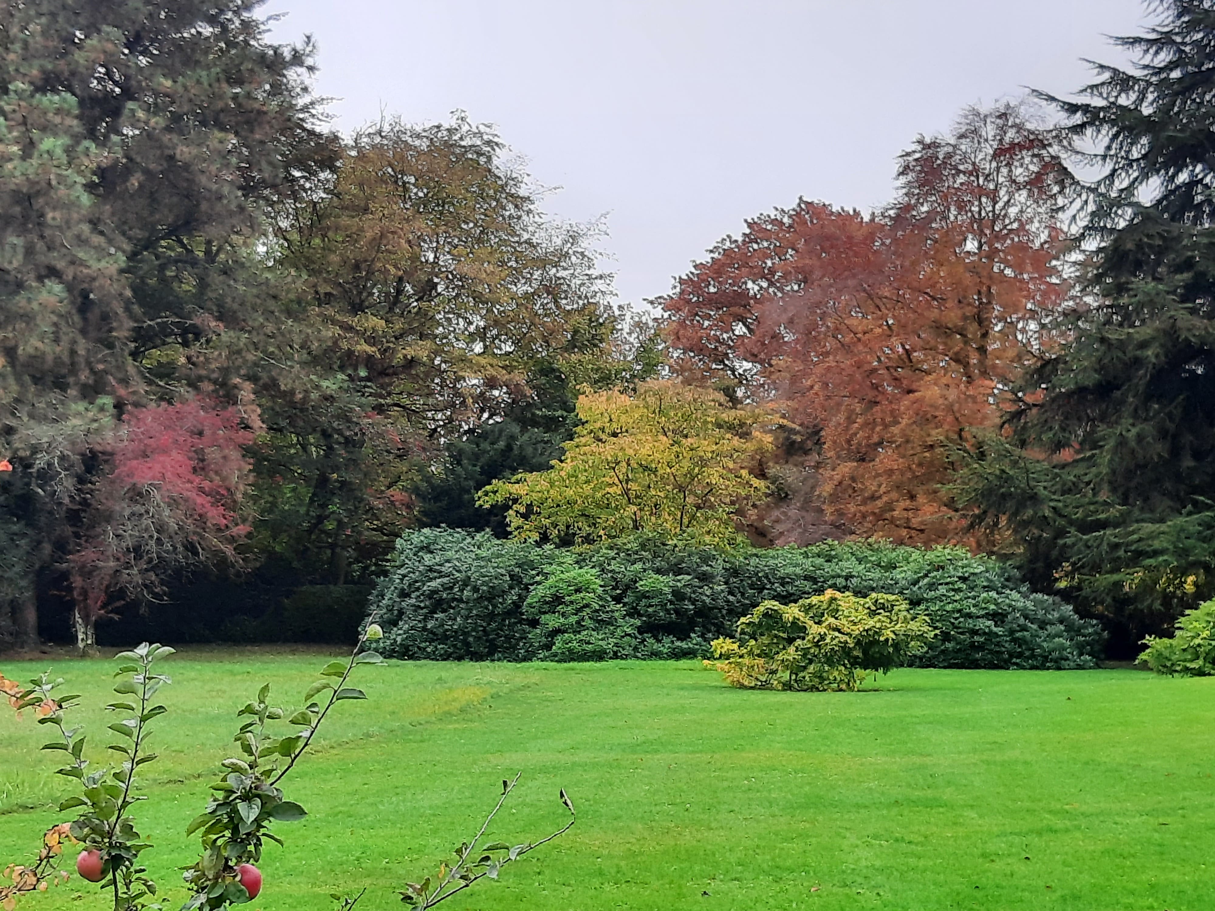 Cauwelier Landscaping