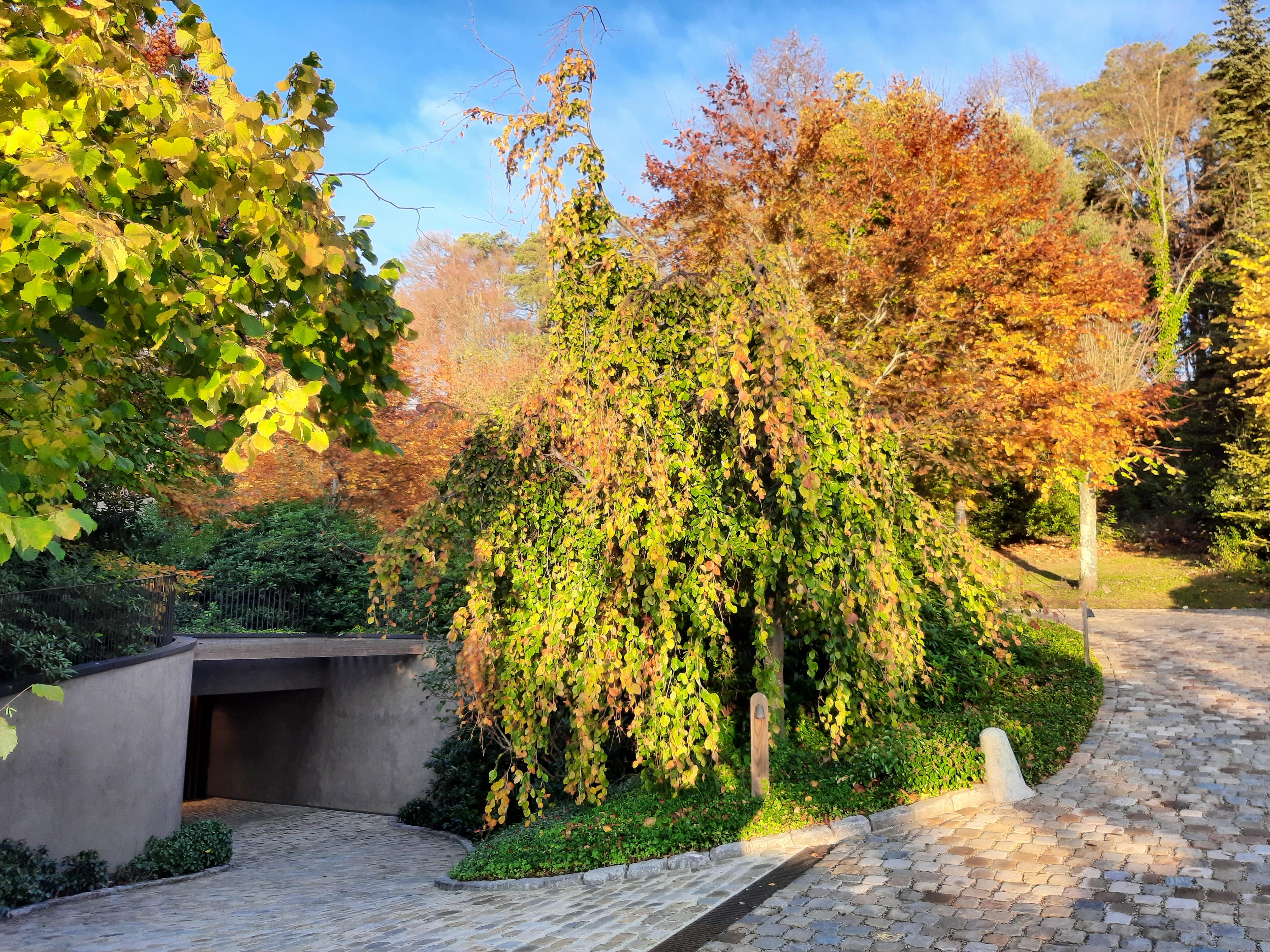 Cauwelier Landscaping