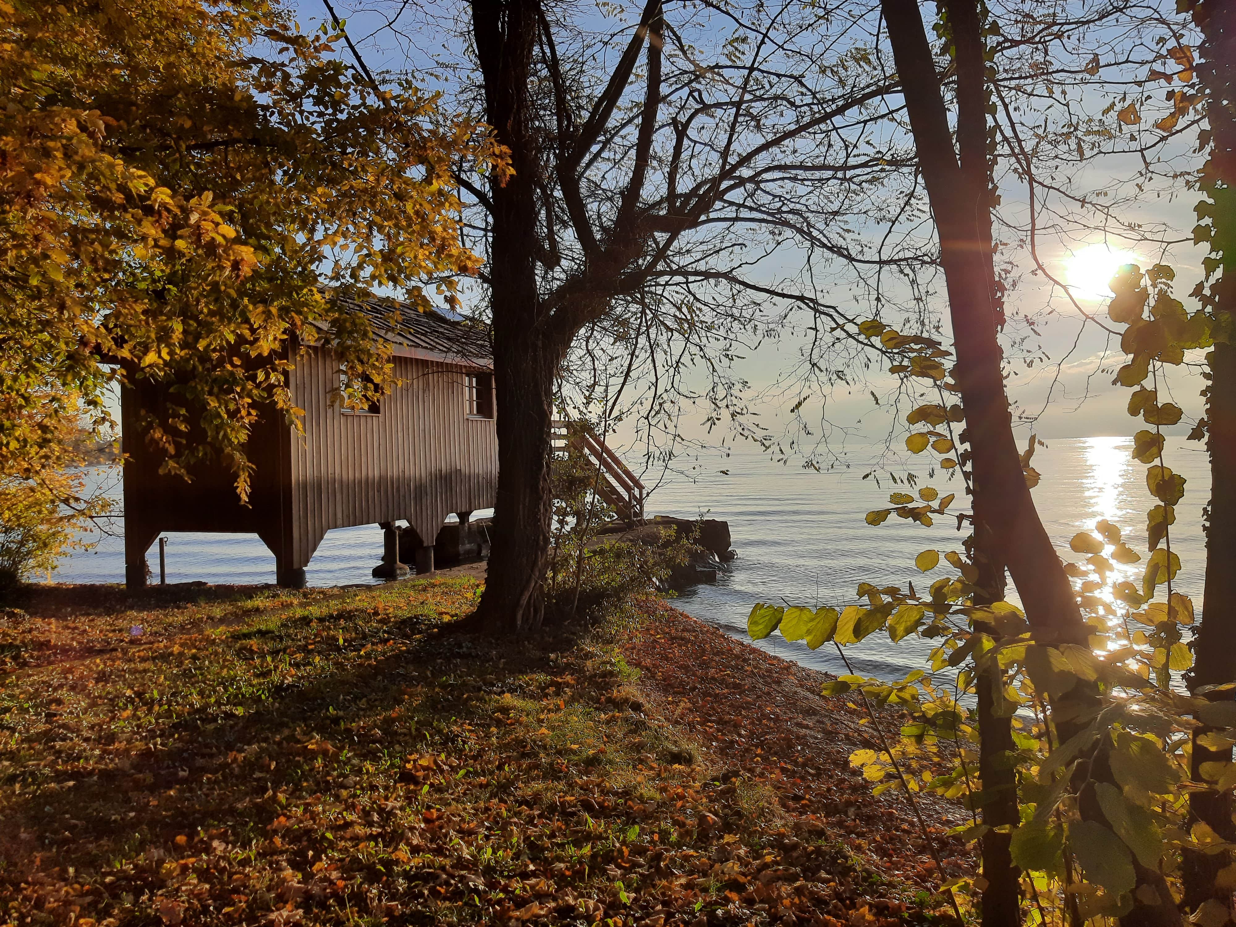 Cauwelier Landscaping