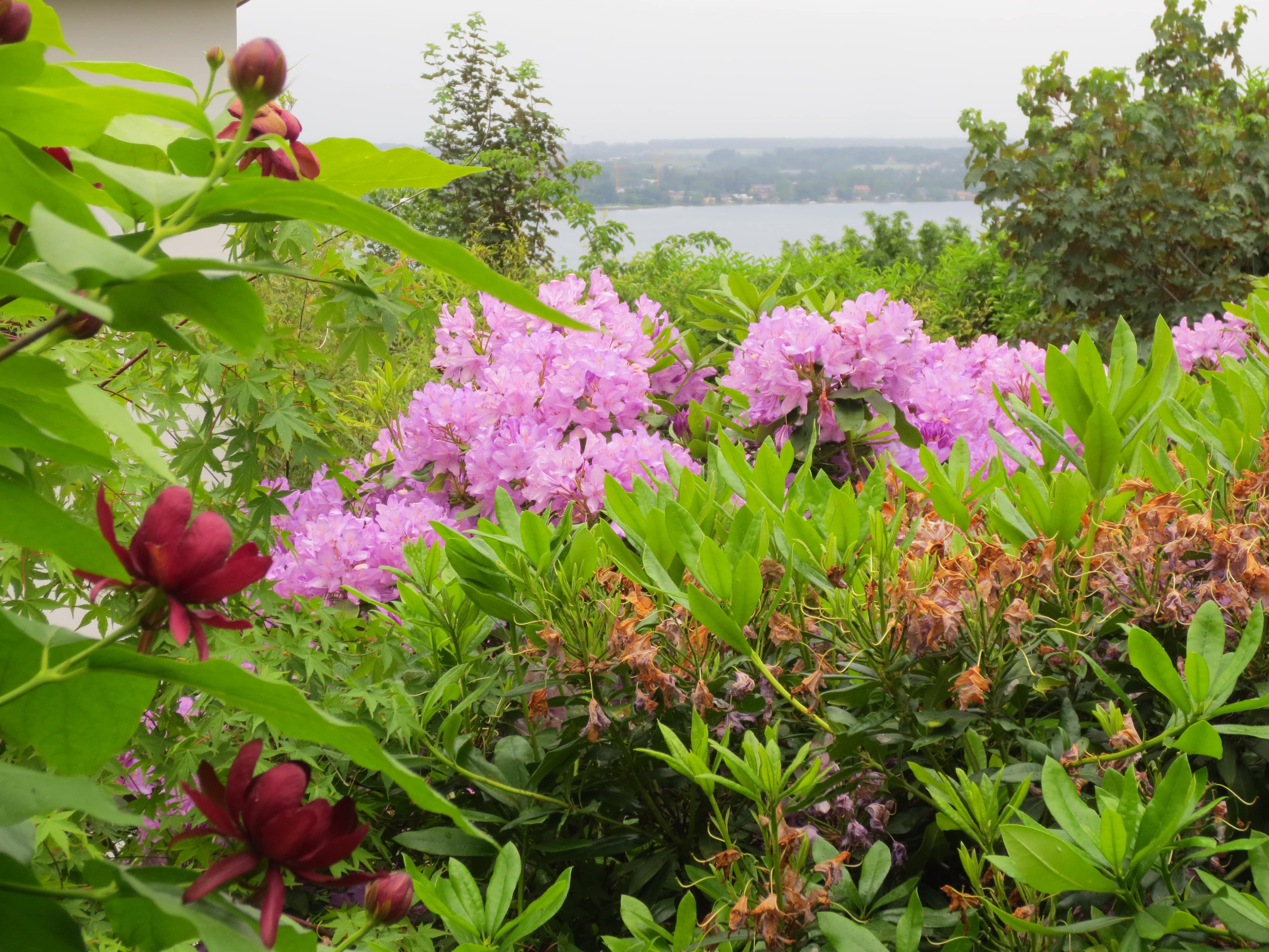 Cauwelier Landscaping