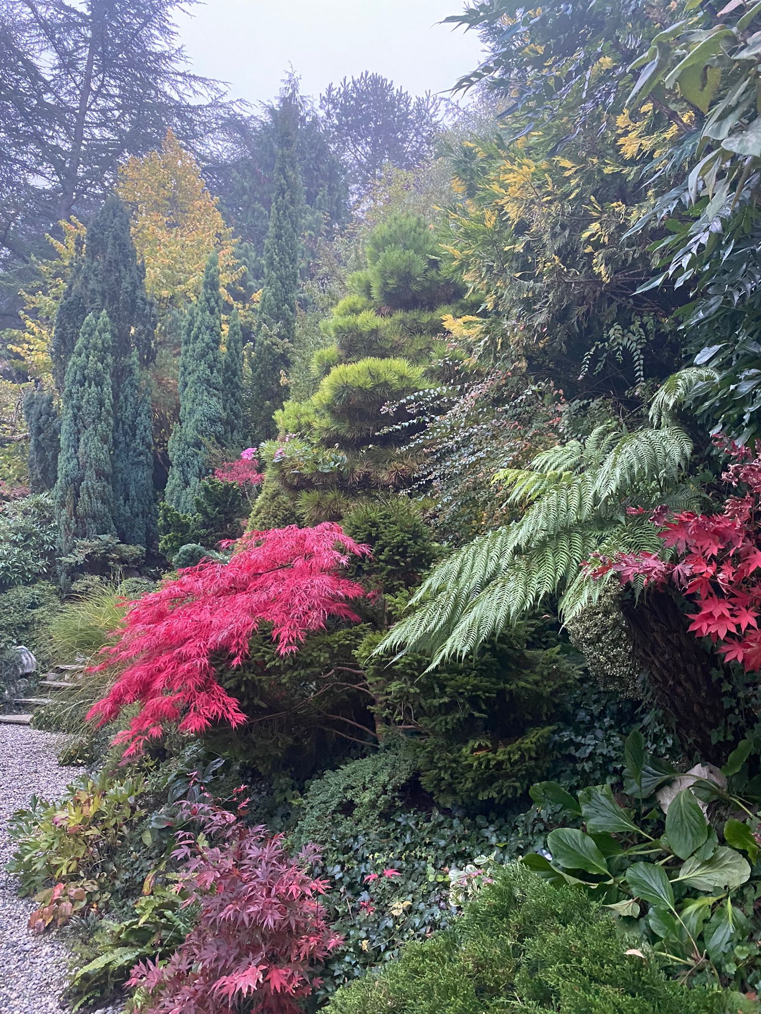 Cauwelier Landscaping